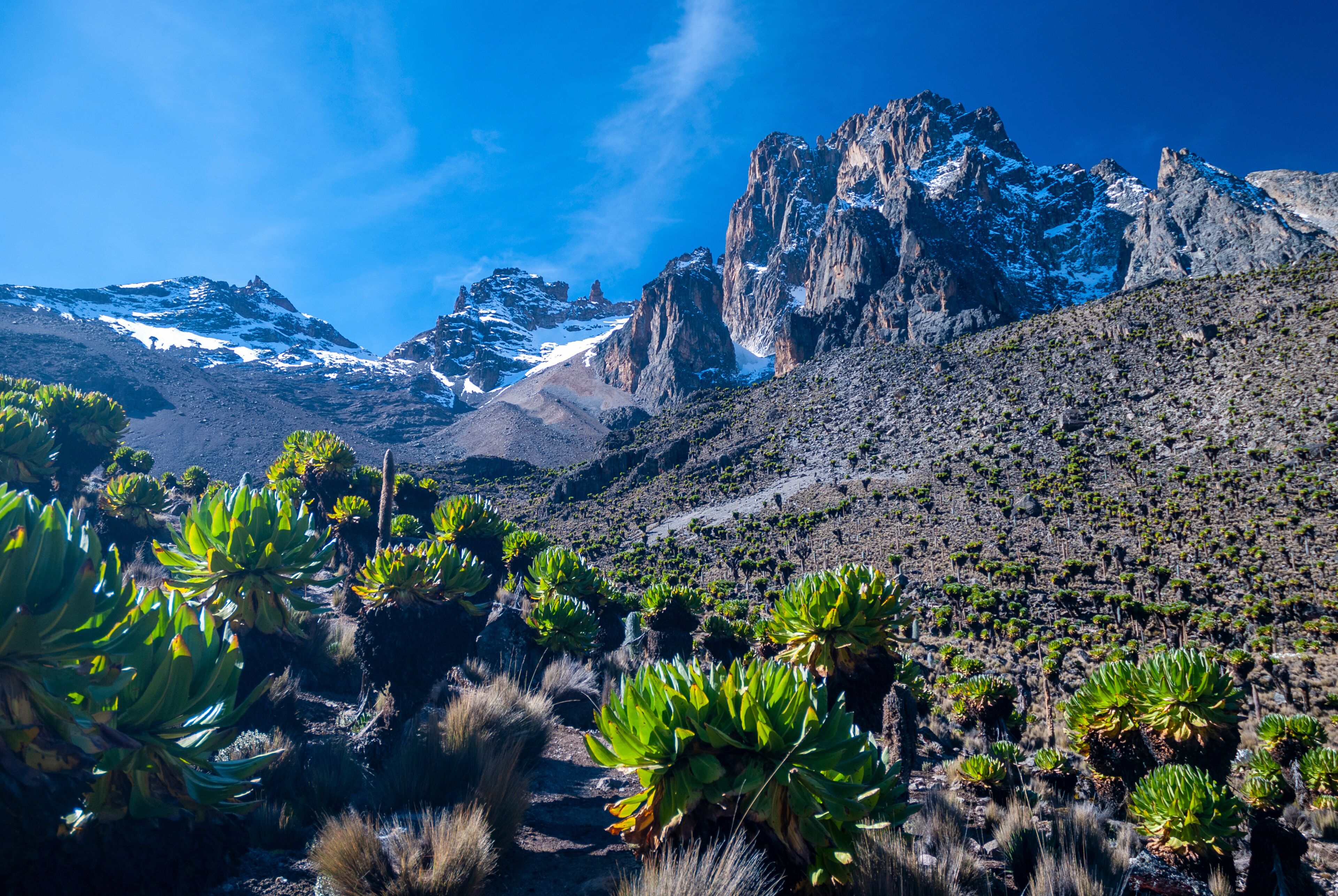Mount Kenya Weekend Getaway