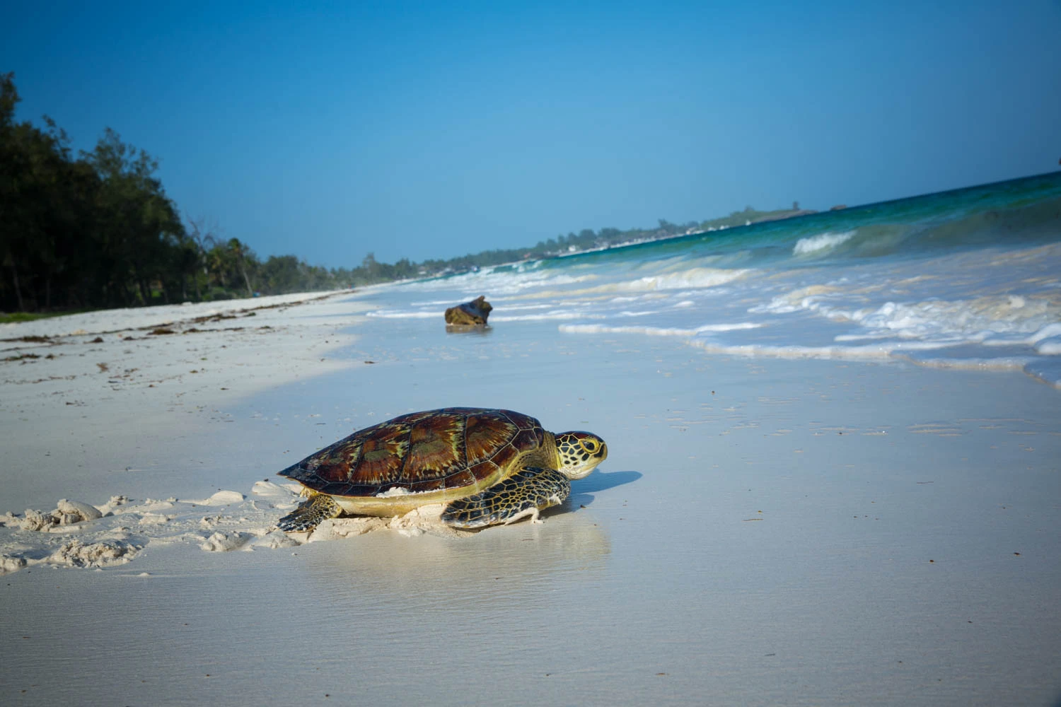Malindi & Watamu Shoulder Season Beach Package