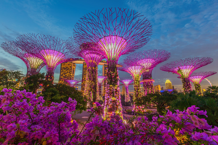 Singapore City Break Package