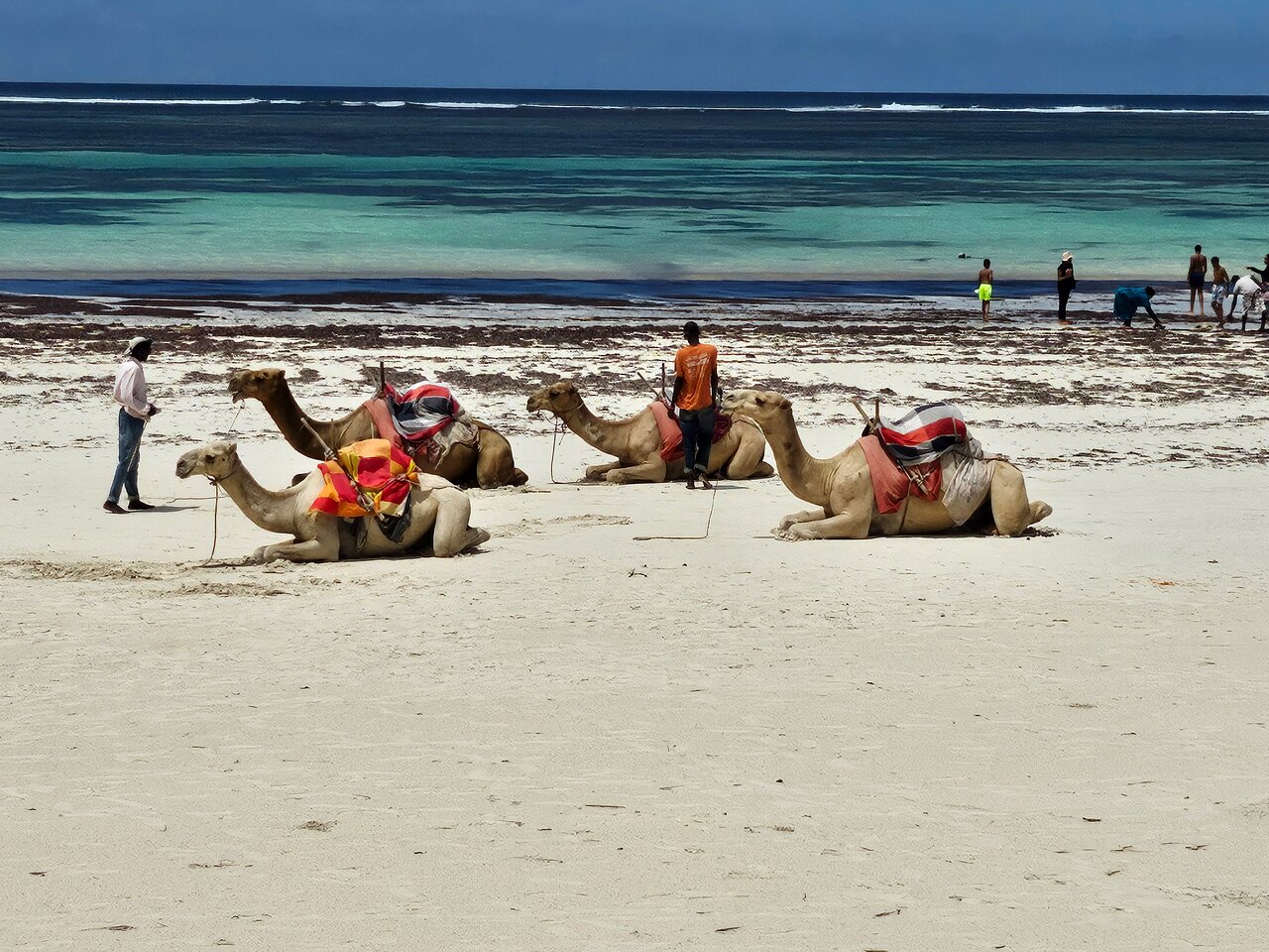 Diani Shoulder Season Solo Traveller Package