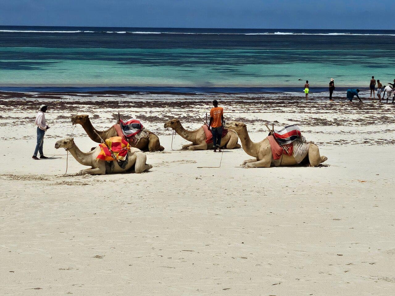 Diani Shoulder Season Solo Traveller Package